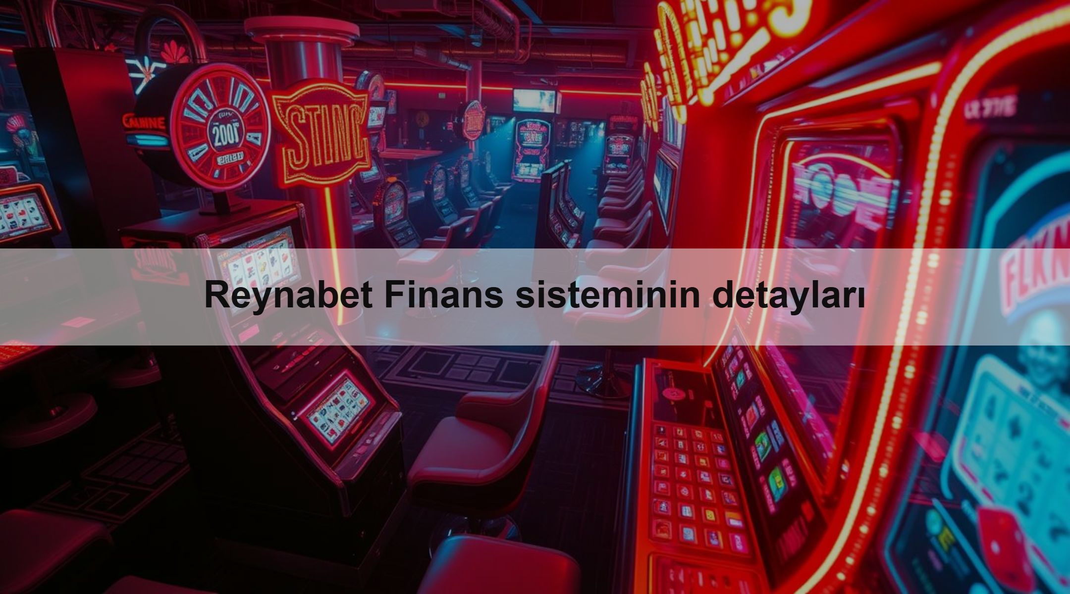 Reynabet Finans sisteminin detayları 1 Reynabet Finans sisteminin detayları