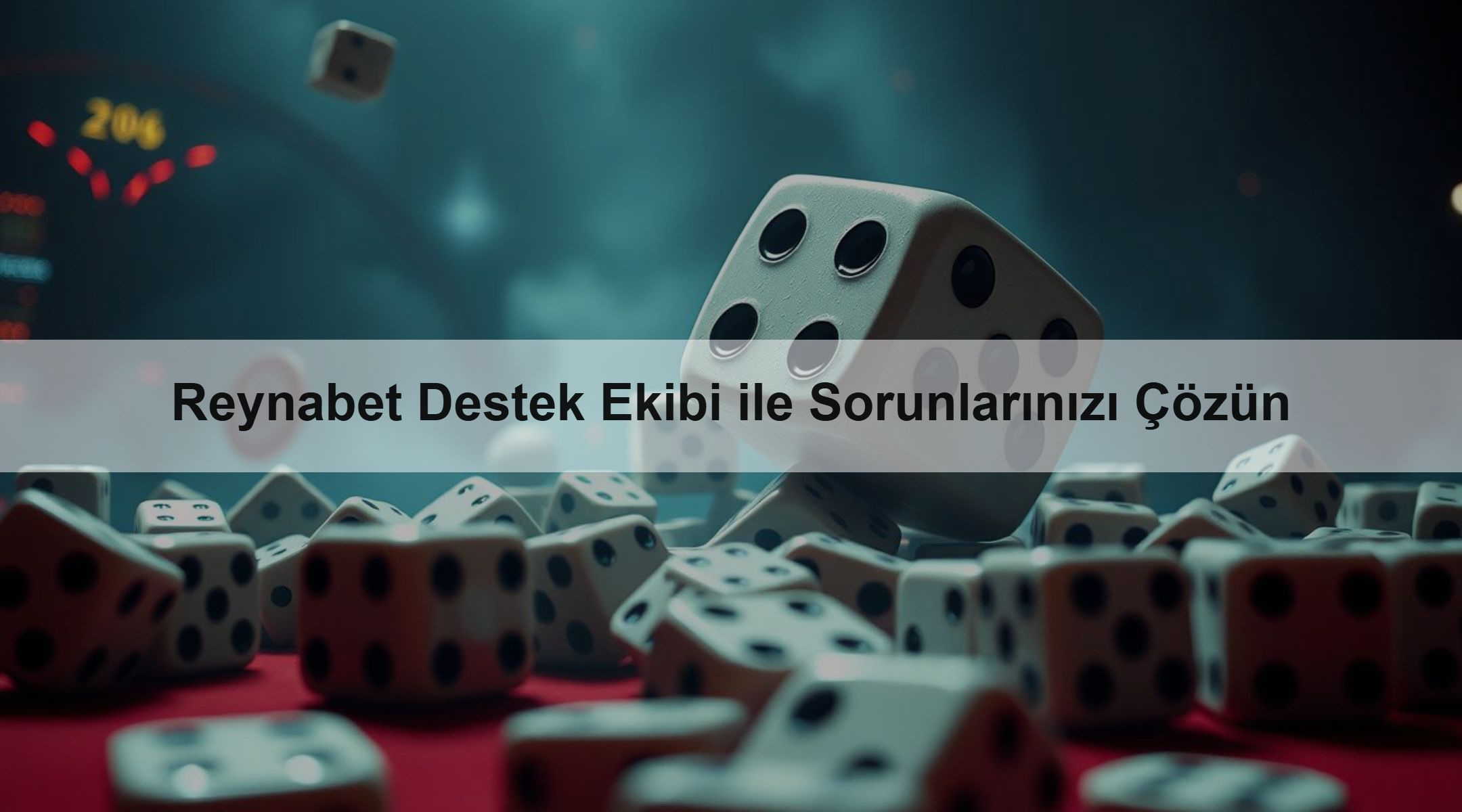 Reynabet Destek Ekibi ile Sorunlarınızı Çözün
